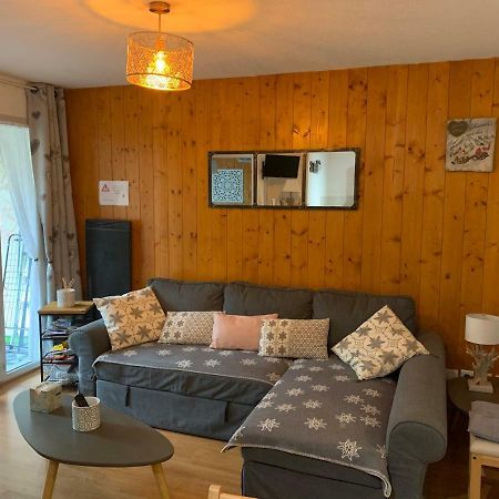 Appartement Tt Confort Au Coeur Des Montagnes Avec Vue Sur Les Montagnes Wifi Люс-Сен-Совёр Экстерьер фото