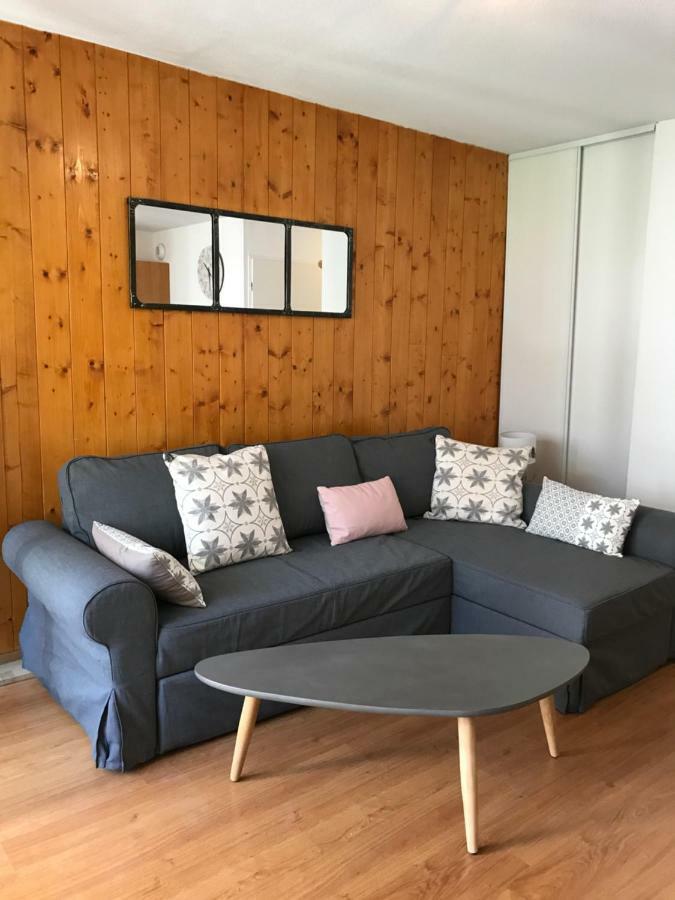 Appartement Tt Confort Au Coeur Des Montagnes Avec Vue Sur Les Montagnes Wifi Люс-Сен-Совёр Экстерьер фото