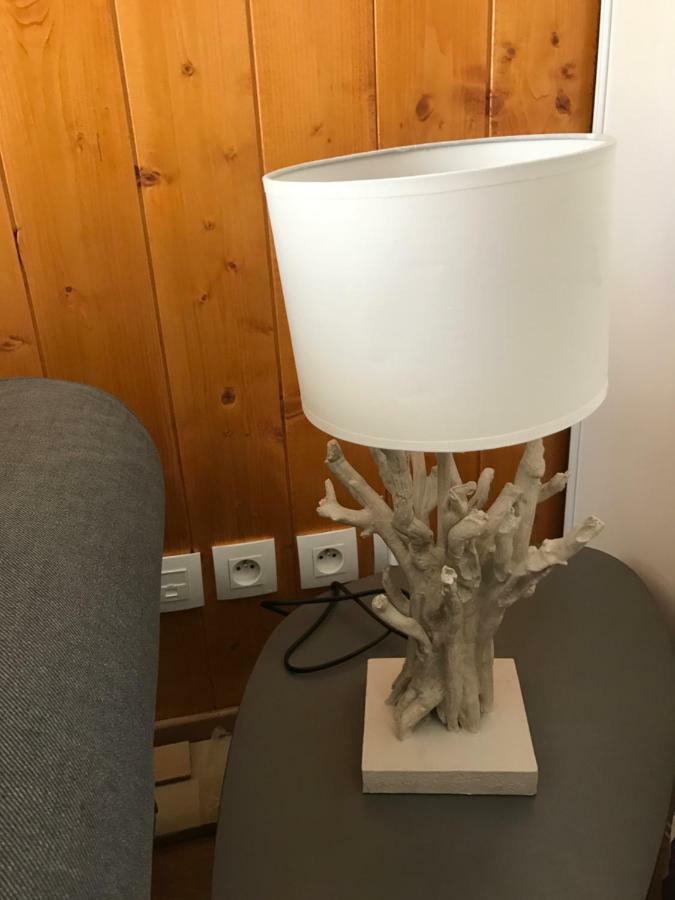 Appartement Tt Confort Au Coeur Des Montagnes Avec Vue Sur Les Montagnes Wifi Люс-Сен-Совёр Экстерьер фото